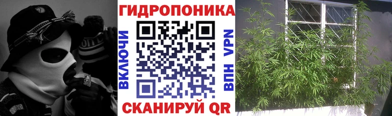 Какие есть наркотики Ржев Каннабис  Гашиш 